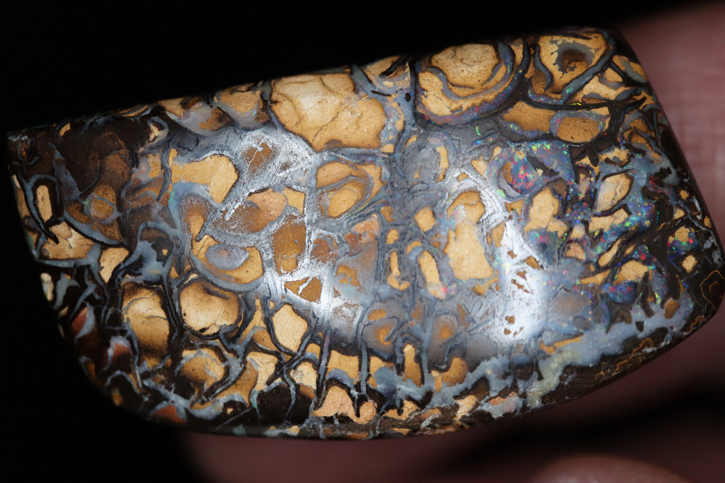 Koroit Boulder Opal 70,28 ct.