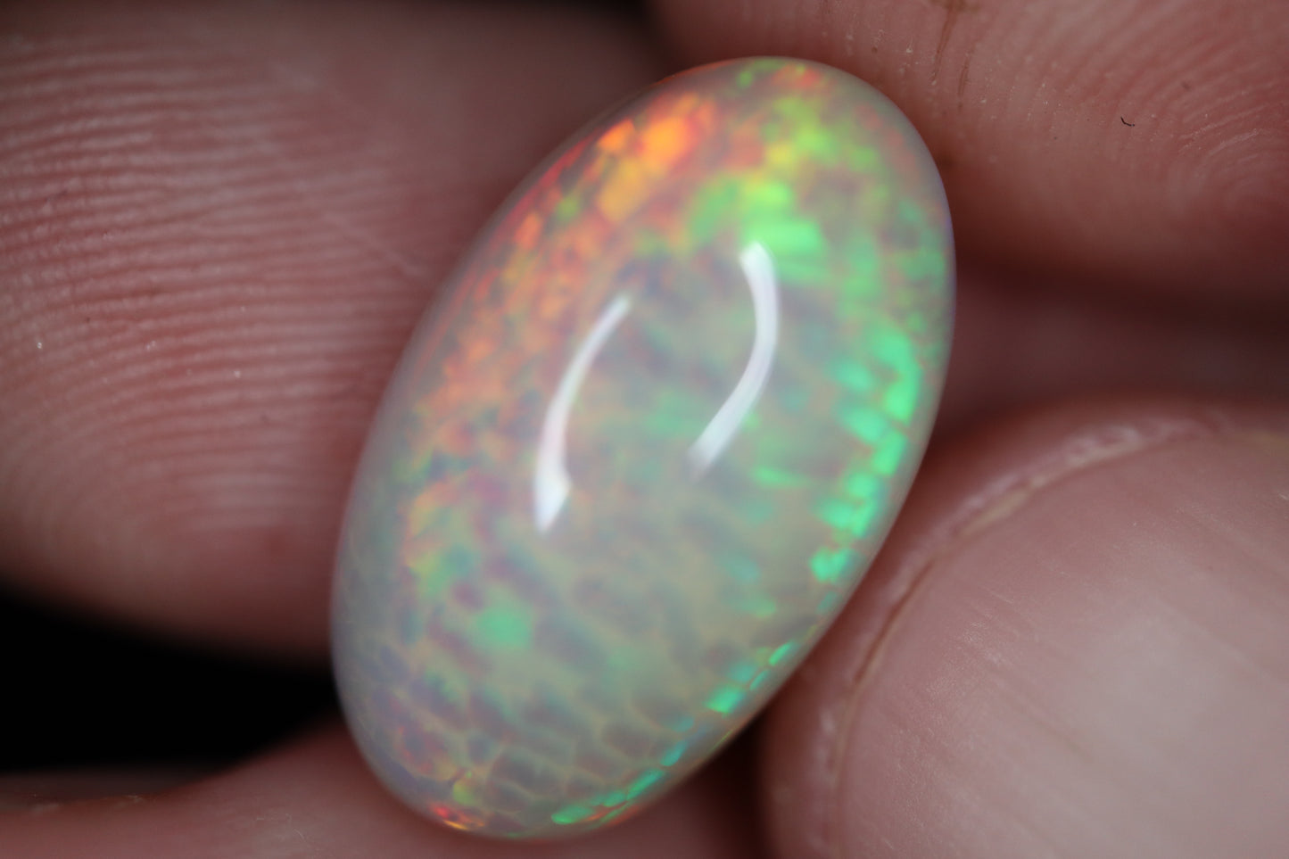 Welo Opal OW2011 8 ct. Honeycomb