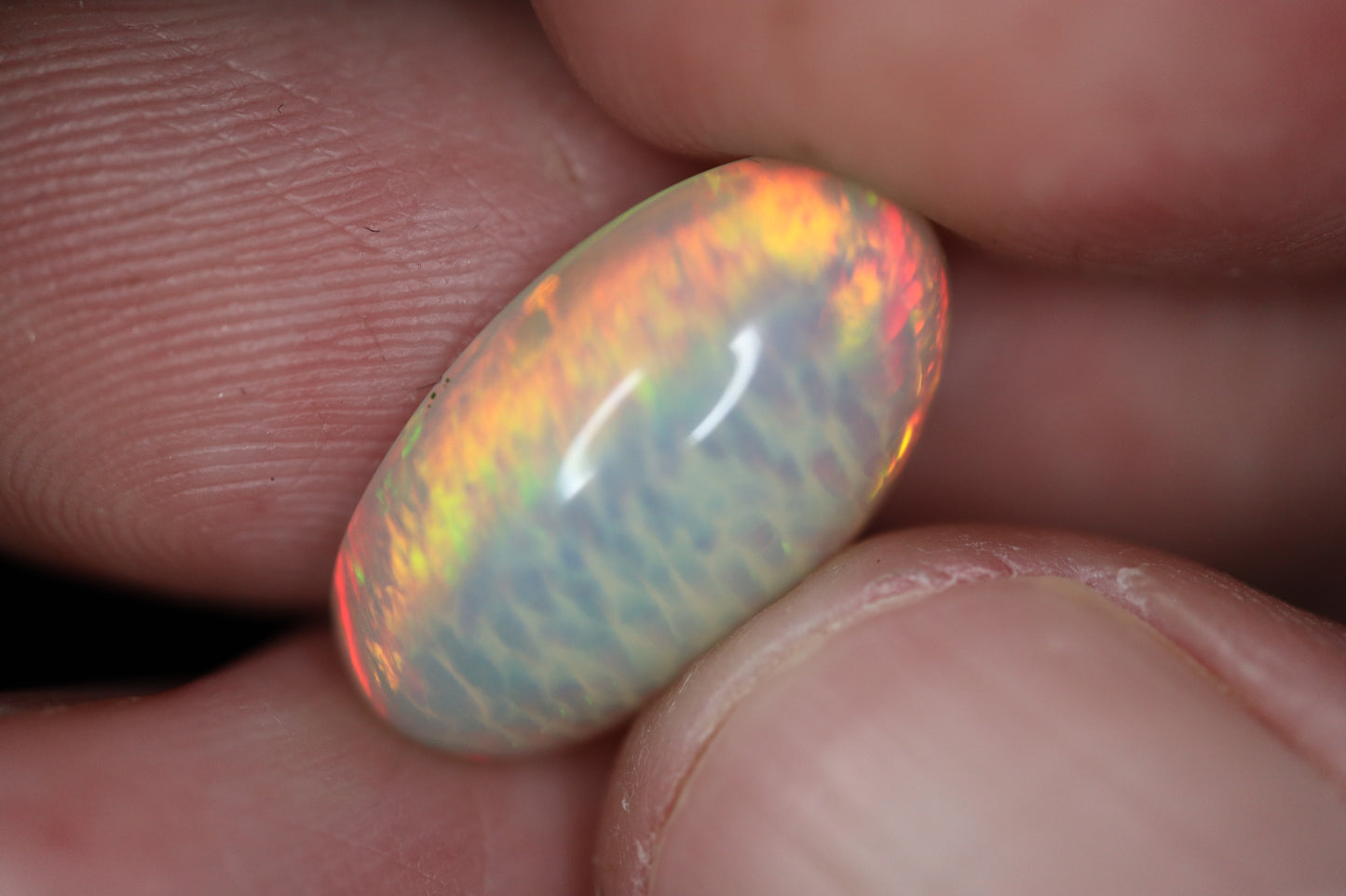 Welo Opal OW2011 8 ct. Honeycomb