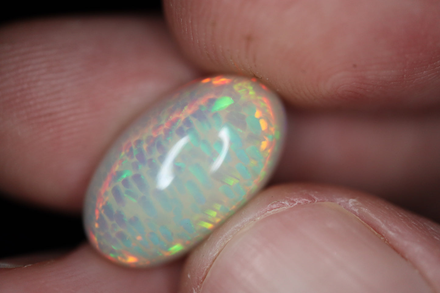 Welo Opal OW2011 8 ct. Honeycomb
