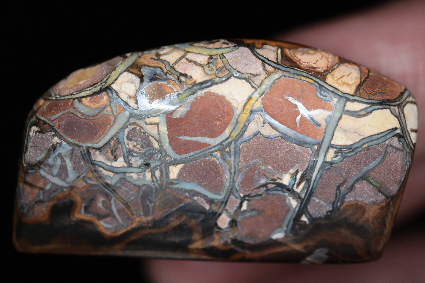 Koroit Boulder Opal 70,28 ct.